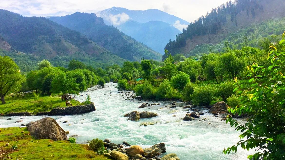 Kashmiri Food