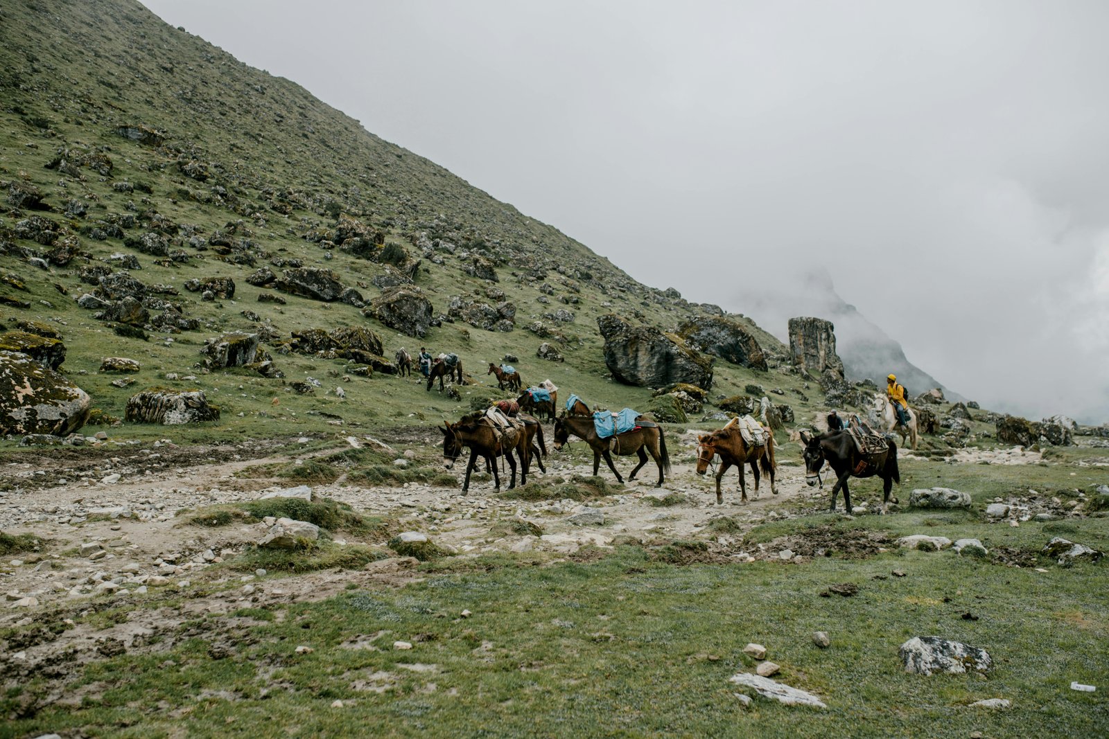 Ultimate Kashmir Guide
