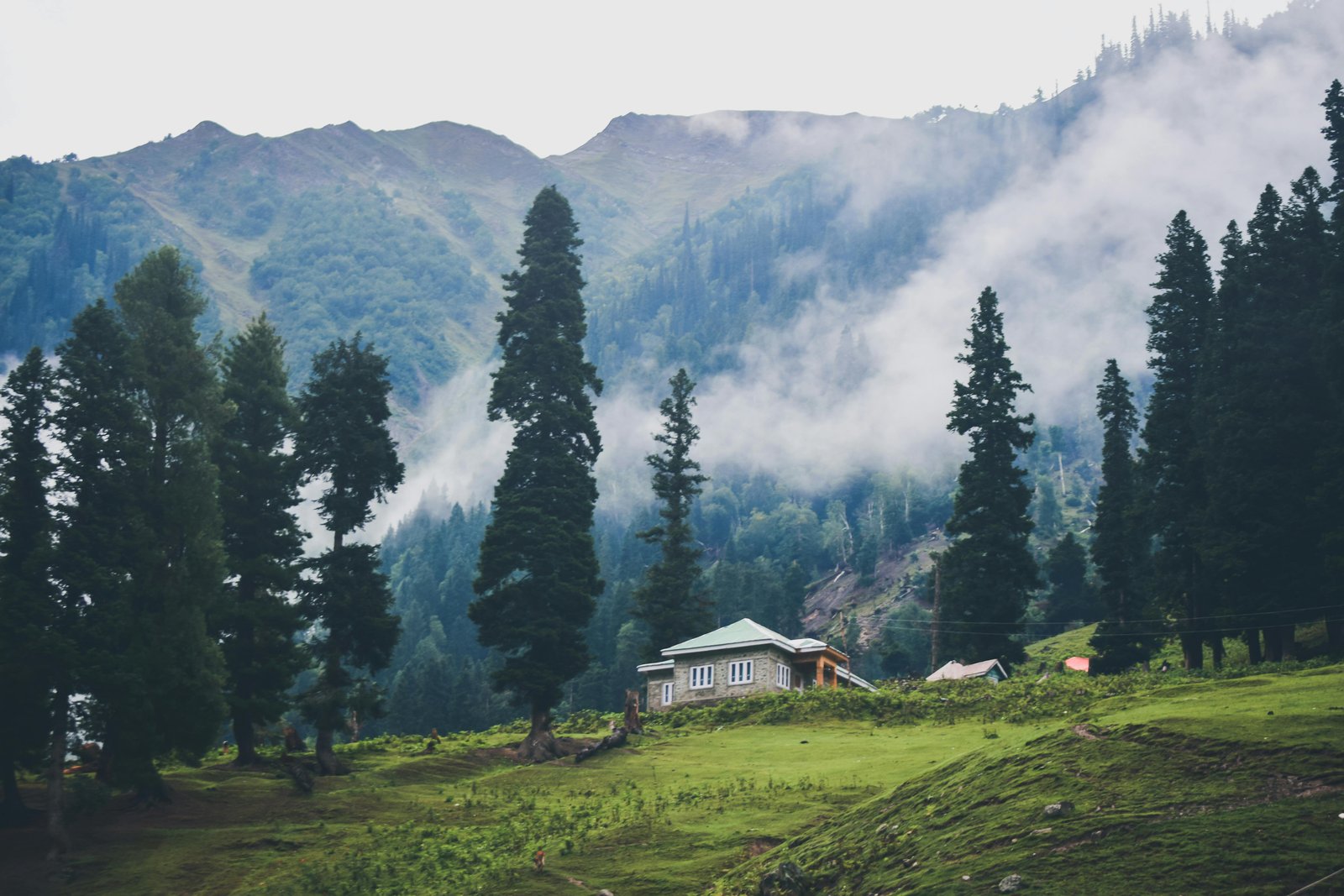 Family enjoying in a garden in Kashmir
