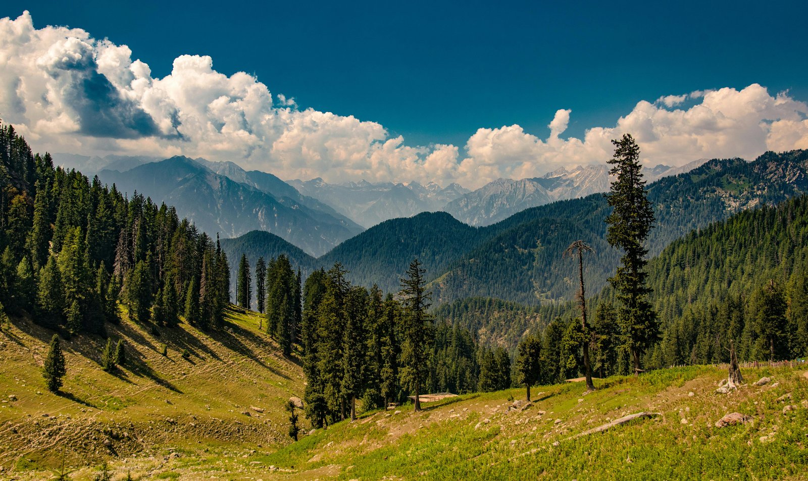 Romantic moments in Kashmir